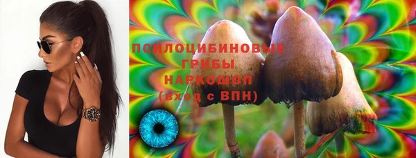 гидра Лабытнанги