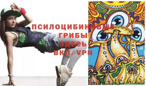 гидра Лабытнанги