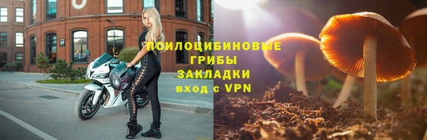 герыч Ладушкин
