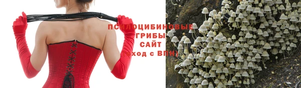 прущая мука Лагань