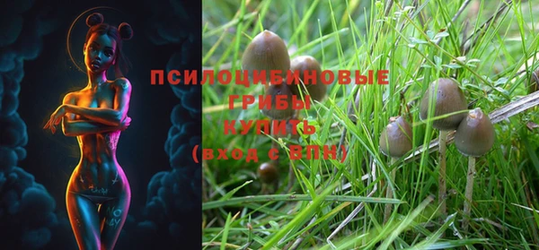 прущая мука Лагань