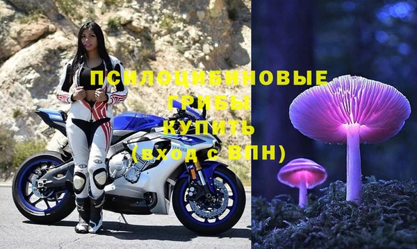 гидра Лабытнанги
