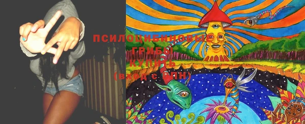 герыч Ладушкин