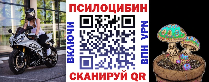 Псилоцибиновые грибы Magic Shrooms  Кизел 